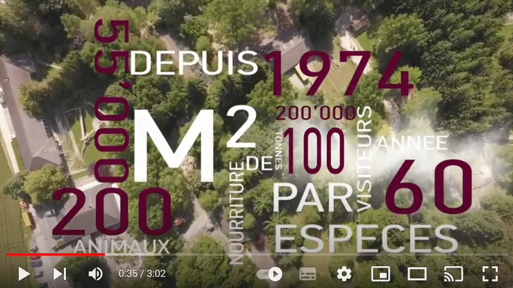 Depuis 1974, le zoo de Servion présente une soixantaines d'espèces dans un environnement parfaitement adapté aux animaux et à la visite en famille.