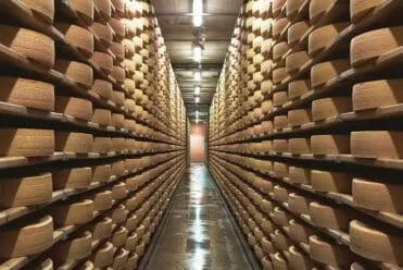 Affinage du Gruyère à la maison du Gruyère, à Pringy en Suisse
