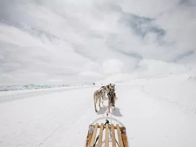 Au Glacier 3000 au coeur des Alpes Suisses, profitez d'excursion en chiens de traîneaux en plein hiver.