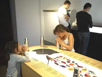 Visite découverte de Musée pour les familles et enfants au château d'Aigle, en Suisse.