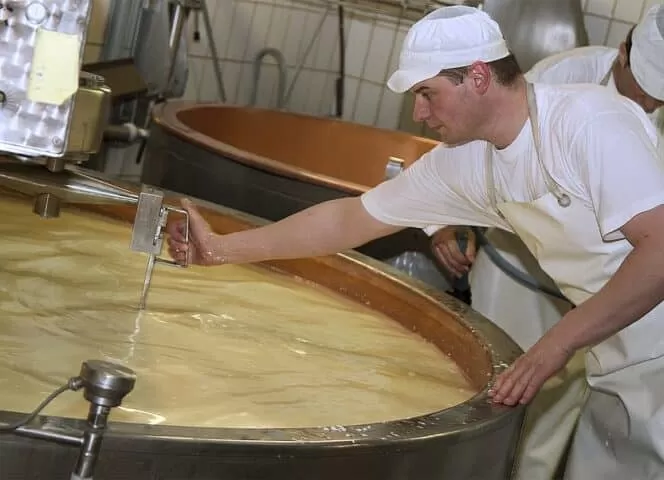 Fabrication du fromage par le fromager à la Maison du Gruyère, Pringy, Suisse.